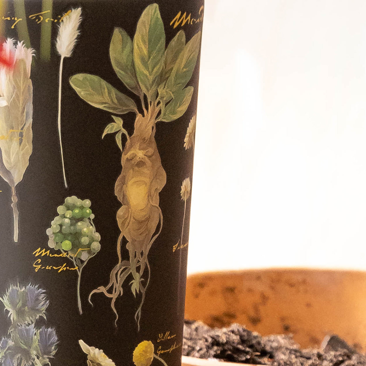 harry-potter-cold-cup-m5 Herbology-3.jpg